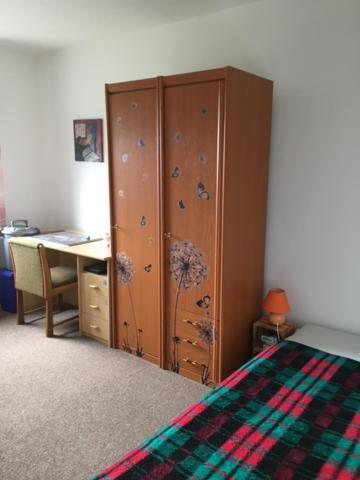 Ferienwohnung Graupner シュヴァルツェンベルク エクステリア 写真